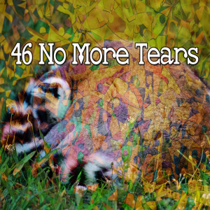 46 No More Tears