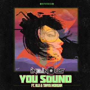 Indjnous的專輯You Sound (feat. Blu & Tanya Morgan) (Explicit)