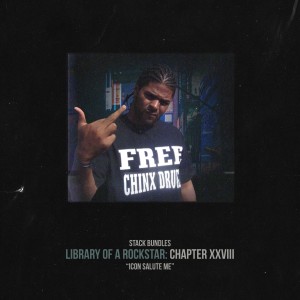 Stack Bundles的專輯Library of a Rockstar: Chapter 28 - Icon Salute Me (Explicit)