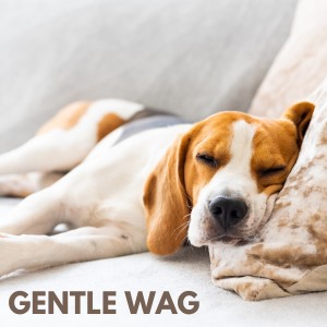 Relax My Dog Music的專輯Gentle Wag