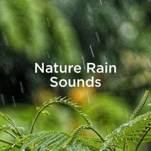 Dengarkan White Noise & Rain Storm lagu dari Rain Sounds dengan lirik
