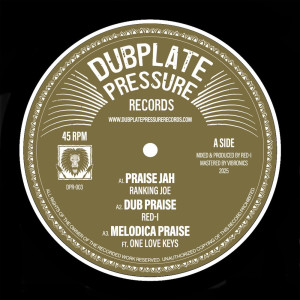 Listen to PRAISE JAH song with lyrics from Red-I