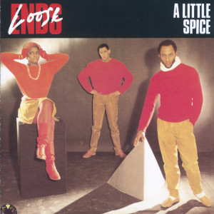 ดาวน์โหลดและฟังเพลง So Much In Love พร้อมเนื้อเพลงจาก Loose Ends