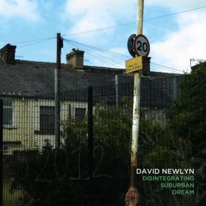 收聽David Newlyn的(Possibly) Subsequent Disorientation歌詞歌曲