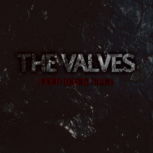 ดาวน์โหลดและฟังเพลง I DON'T CARE พร้อมเนื้อเพลงจาก THE VALVES