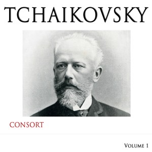 ดาวน์โหลดและฟังเพลง Swan Lake Suite, Op. 20 Scene พร้อมเนื้อเพลงจาก ดารานักร้องหลายคน