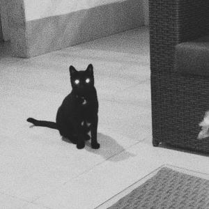 ดาวน์โหลดและฟังเพลง Unexpected Encounters พร้อมเนื้อเพลงจาก imagens