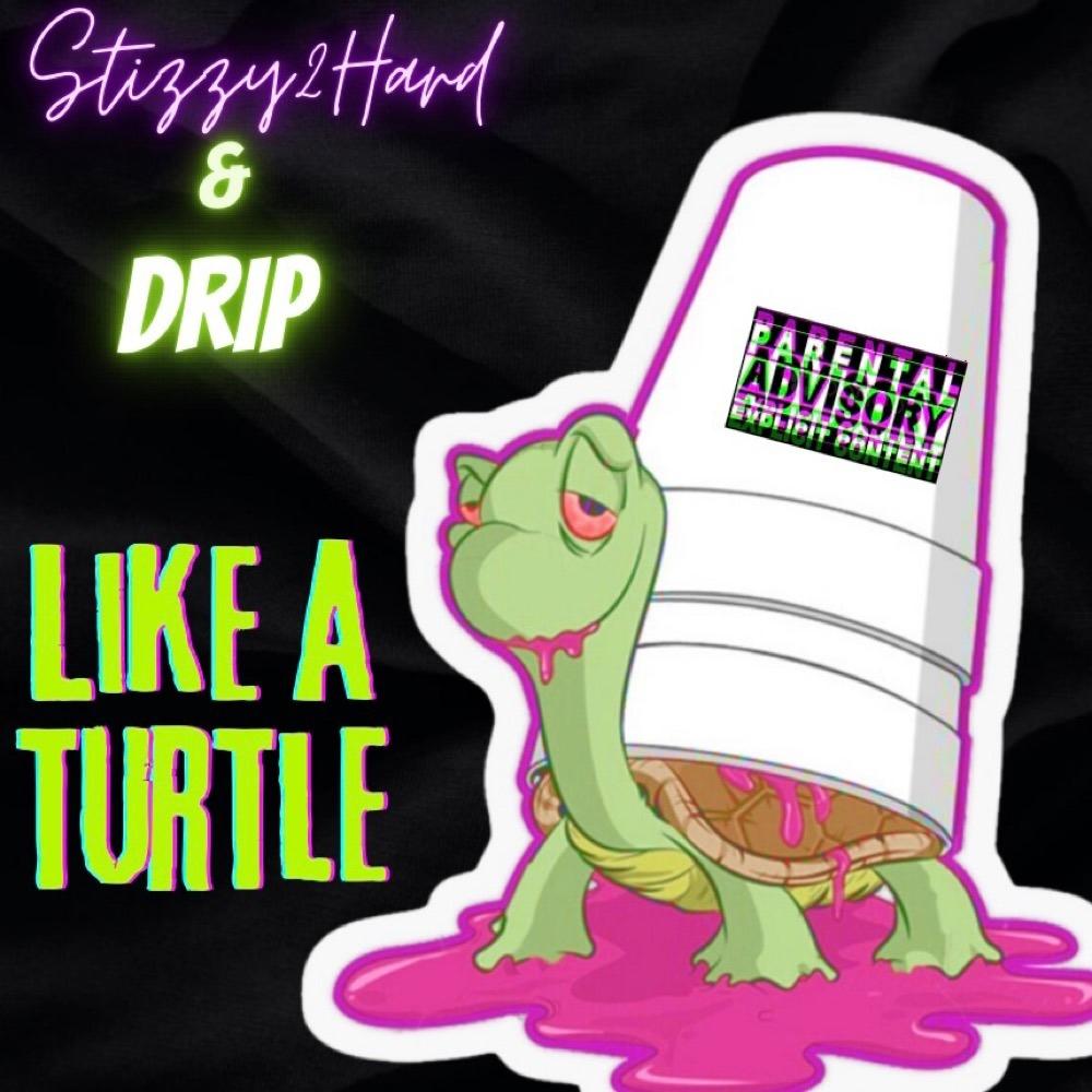 Like a Turtle (feat. Drip) (Explicit)
