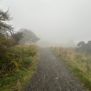 Album Theme of Laura from Daniel Welch