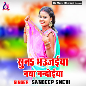 Listen to Maza Martar Rojo Balamua song with lyrics from Sandeep Snehi
