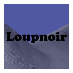 Sandro P的專輯Loupnoir