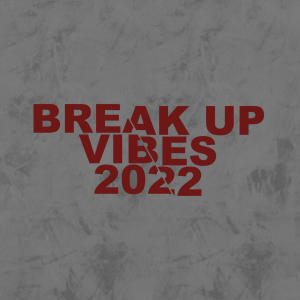 Various Artists的專輯Break Up Vibes 2022 (Explicit)