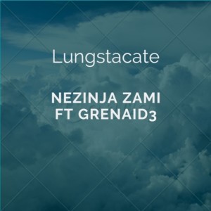 Listen to Nezinja Zami (Extended Version) song with lyrics from Lungstacate