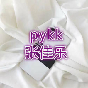 Listen to Pykk song with lyrics from 张佳乐