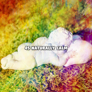 Album 45 Naturally Calm oleh Sounds of Nature Relaxation
