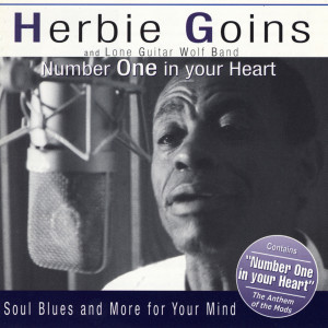 ดาวน์โหลดและฟังเพลง The Thrill Is Gone พร้อมเนื้อเพลงจาก Herbie Goins & The Night-Timers