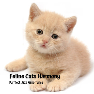 Feline Cats Harmony: Purrfect Jazz Piano Tunes dari Restaurant Lounge Background Music