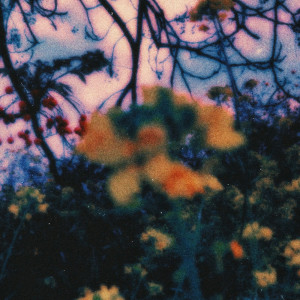 Album Rest (Paperwhite Remix) from Six Missing
