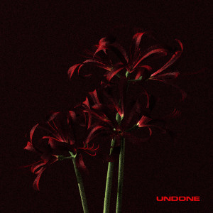 Album Undone from Deanna