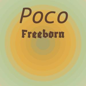 Various Artists的專輯Poco Freeborn