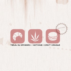 收聽Tieum的Nothing I Can't Handle (Explicit)歌詞歌曲