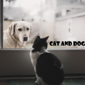 收听Lavender Dream的Cat And Dog歌词歌曲