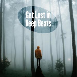 Listen to Wooden Vibrations song with lyrics from LeVirya