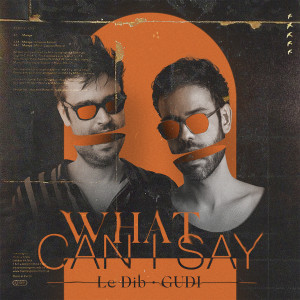 收聽Gudi的What Can I Say歌詞歌曲