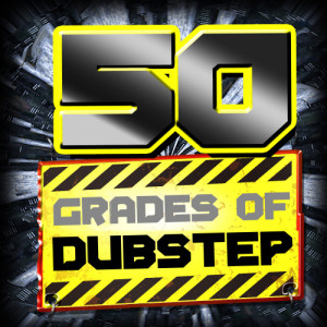 ดาวน์โหลดและฟังเพลง Ho Hey (Glitch-Tech Remix) พร้อมเนื้อเพลงจาก Infected Alien
