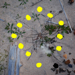 Album Himitsu from maco marets