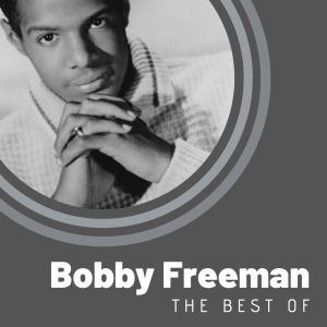 Dengarkan Big Fat Woman lagu dari Bobby Freeman dengan lirik
