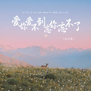 Album 爱你爱不到忘你忘不了 from 安儿陈