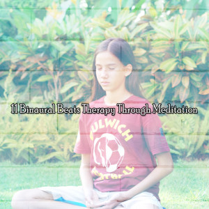อัลบัม 11 Binaural Beats Therapy Through Meditation ศิลปิน Binaural Beats Sleep