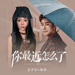 Listen to 你最近怎么了 (完整版) song with lyrics from 王子为