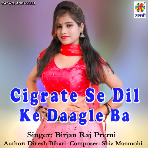 Listen to Cigrate Se Dil Ke Daagle Ba song with lyrics from Birjan Raj Premi