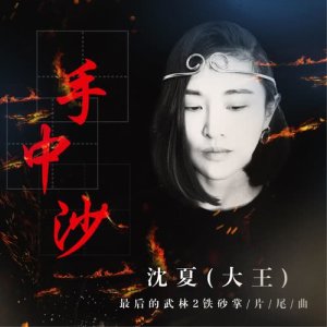 ดาวน์โหลดและฟังเพลง 手中沙 (伴奏版) (伴奏) พร้อมเนื้อเพลงจาก 大王