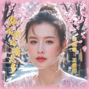 Album 你欠我的情太多 oleh 王紫菲