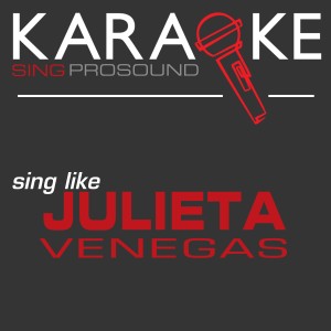 อัลบัม A Tribute to Julieta Venegas ศิลปิน ProSound Karaoke Band