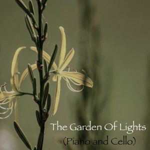 收听Andrés Martín的The Garden Of Lights (Piano and Cello Version)歌词歌曲