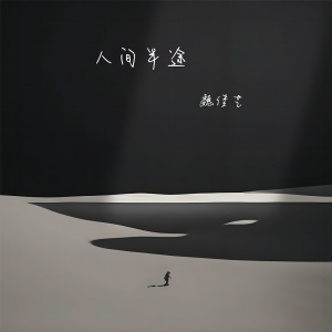 Album 人间半途（DJR7版） from 魏佳艺