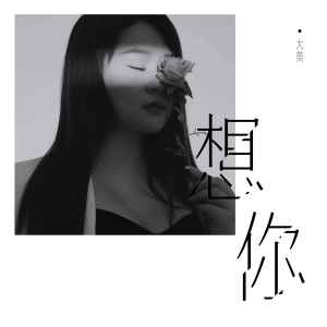 收聽大美WH的想你歌詞歌曲