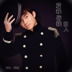 Listen to 爱我伤我的人 (伴奏) song with lyrics from 梁铖