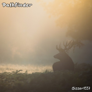 Album Pathfinder from Sizzer1337