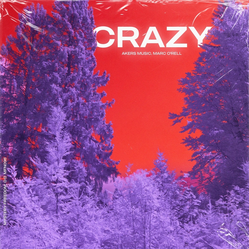 Crazy (Radio Mix)