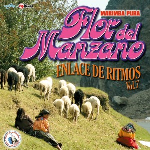 收聽Marimba Flor del Manzano的Enlace de Cumbias 3: Caballo Viejo / El Manicero / Candilejas / Moliendo Café / El Africano歌詞歌曲