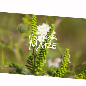 Dengarkan lagu Sparkle Flip nyanyian Bett Gisle dengan lirik