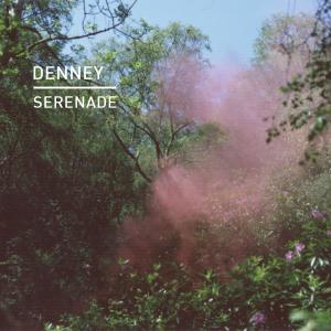 收聽Denney的Serenade (Joeski Alternative Remix)歌詞歌曲