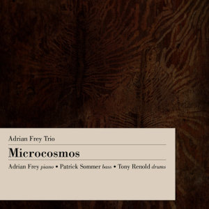 ดาวน์โหลดและฟังเพลง Goes on, Goes On พร้อมเนื้อเพลงจาก Adrian Frey Trio