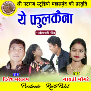 Listen to Ye Fulkaina song with lyrics from Dinesh Markam