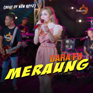Dengarkan lagu Meraung (From "Best Of New Boyz") nyanyian Dara Fu dengan lirik